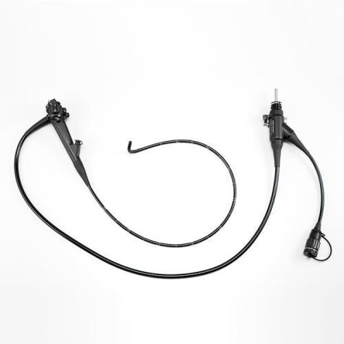 fujinon-eg-600wr-endoscopy-image