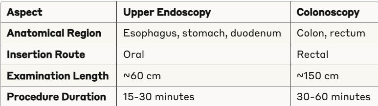 anatomical-coverage-endoscopy-colonoscopy